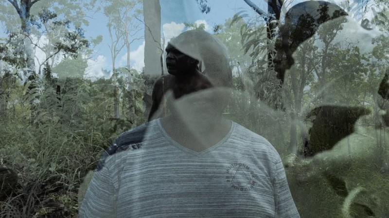 Kolektīvais kino – Austrālijas karrabingi