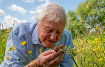 Deividam Atenboro – 100. Pasaule citā mērogā