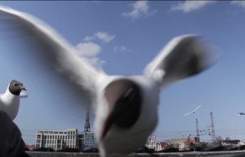 Rokpelnis un citi citādie
