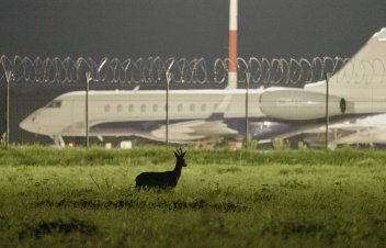 „Putnubiedēkļi”. Estētiskajām izvēlēm atļauju dod Tornis