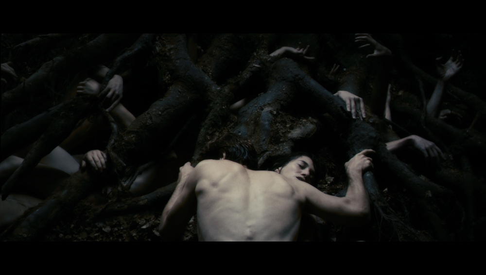 Kadrs no Larsa fon Trīra filmas "Antikrists/Antichrist" (2009)