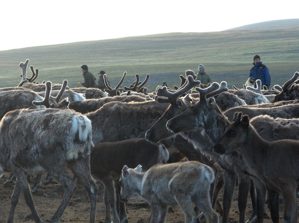 "Aigi - Gana laiks" (2007)
