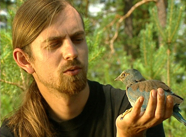 "Kurš redzējis vārnu?" (2004)