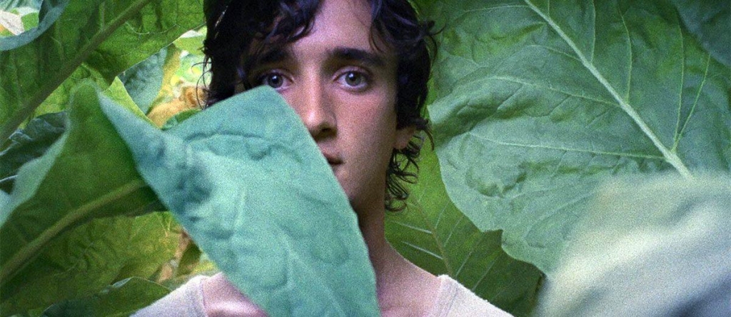 Kadrs no filmas "Laimīgs kā Lācars / Lazzaro Felice", kas būs atrodama Rīgas starptautiskā kinofestivāla (Riga IFF) programmā