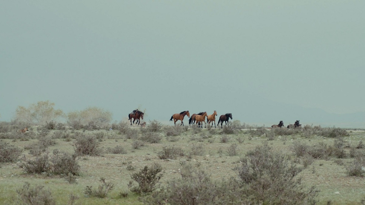 Kadrs no filmas "Garais ceļš uz ganībām / Long Way to the Pasture"
