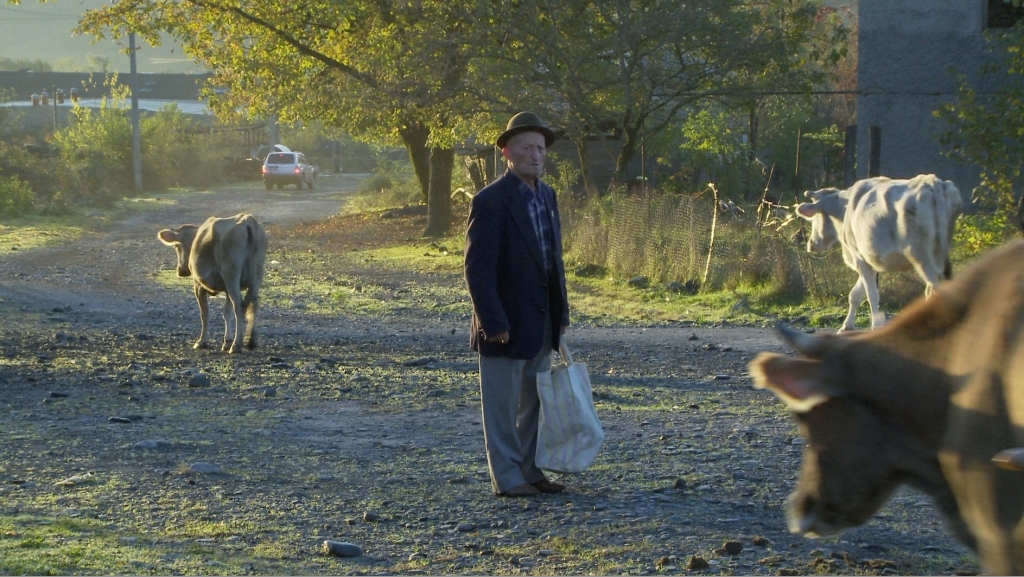 "Ramins" (2011)