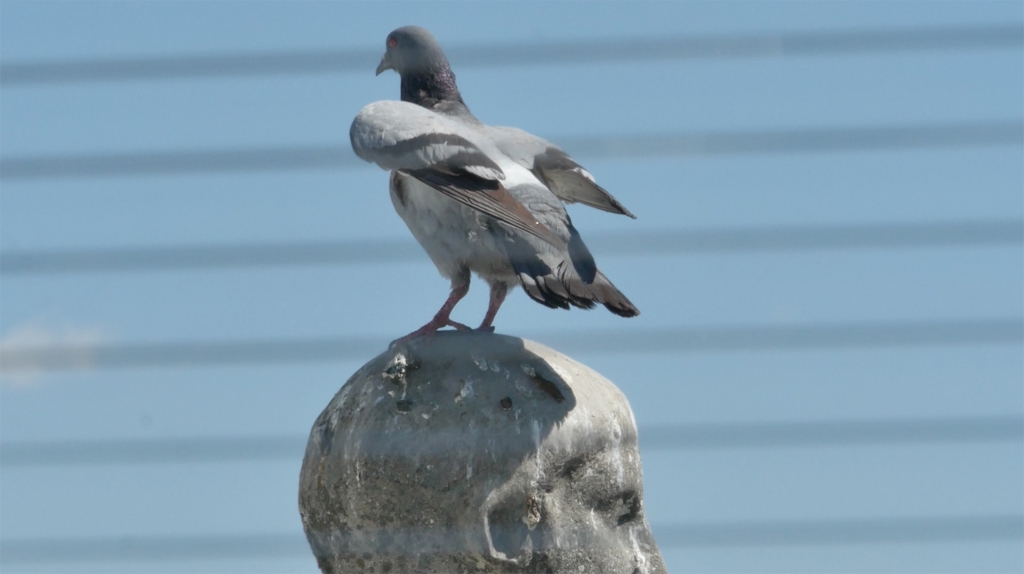 Kadrs no filmas "Vairāk nekā dzīve"